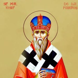 Viața Sfântului Ierarh Iosif cel Nou de la Partoș, Mitropolitul Banatului