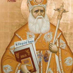 Viața Sfântului Ierarh Andrei Șaguna, Mitropolitul Transilvaniei – 30 Decembrie